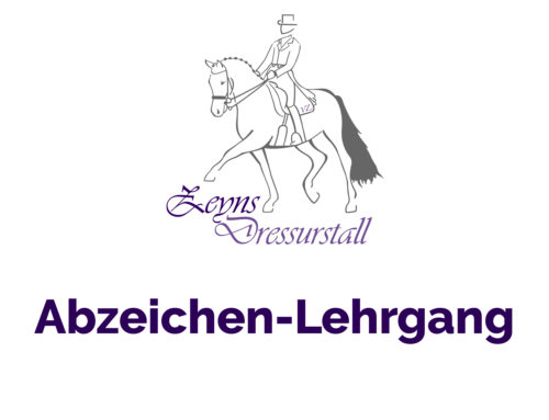 Reitabzeichen-Lehrgang